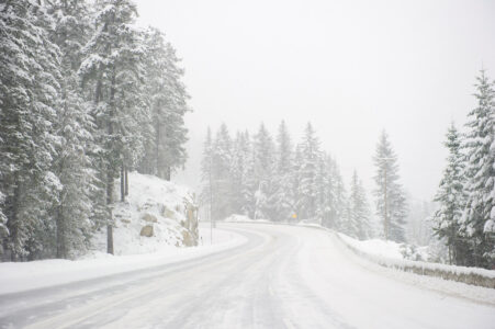 snow covered road with evergreen trees on either side